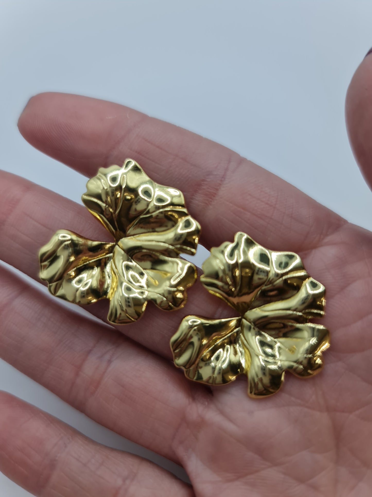 AROS FIESTA - ARFTD25