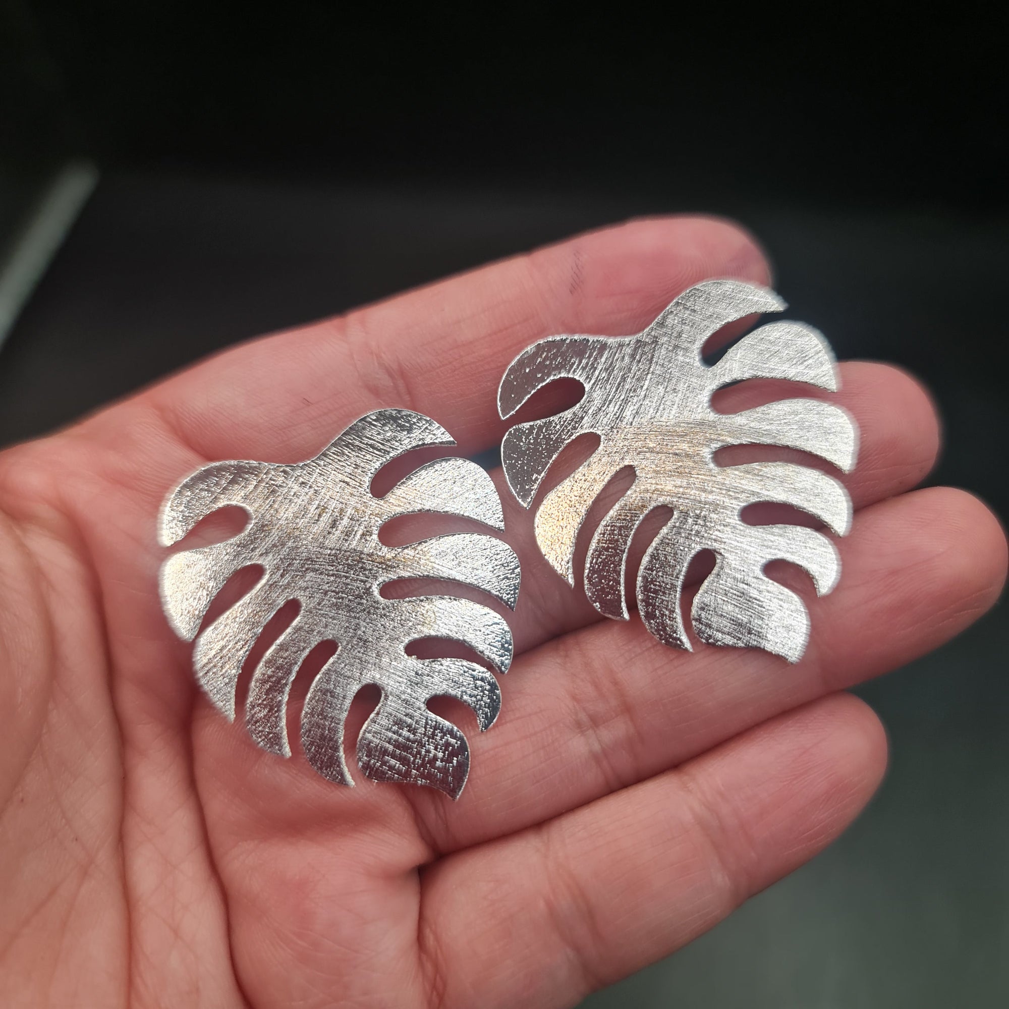 Anillos Plateados