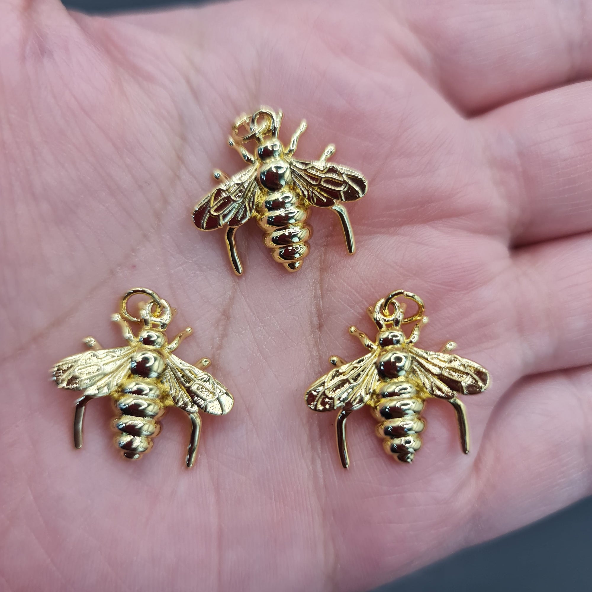 MEDALLAS ANIMALES E INSECTOS