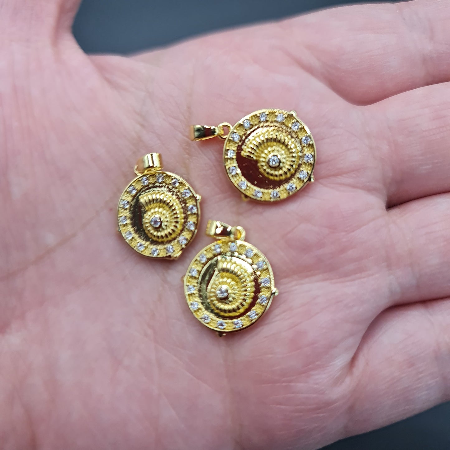 Medalla Fosil Caracol De Mar