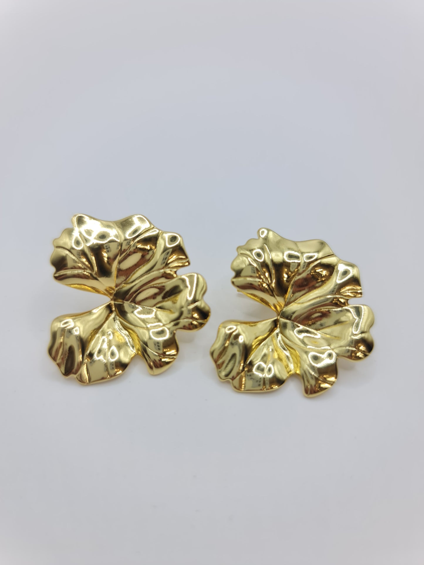 AROS FIESTA - ARFTD25